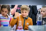 dsc1615124798.jpg