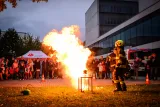 dsc1774124808.jpg