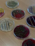 img3120125138.jpg