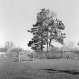 Niels Østergaard Munk